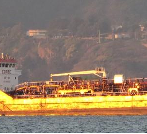 MT + DON PANCHO + (EX +DON PANCHO I+)